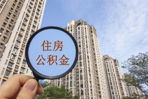 沈阳去年11月提的公积金今年几月（去年12月提的公积金今年几月可以提）